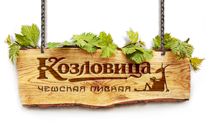 Логотип компании Соловей