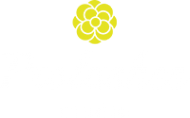 Логотип компании PROLASHES