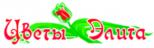 Логотип компании Цветы Элита